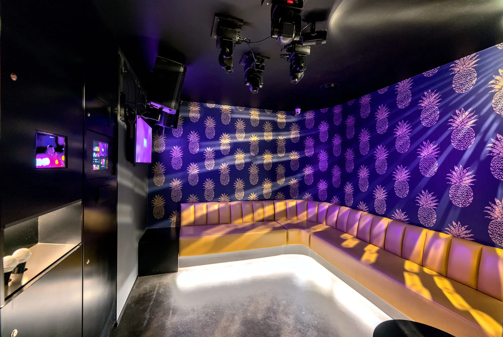 salle-ananas-boa-karaoke
